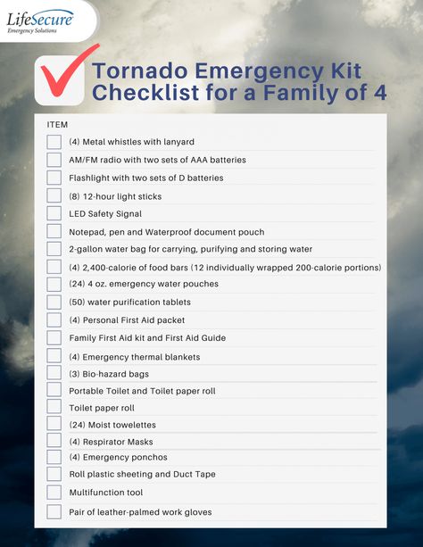 Tornado Preparedness Kit, Emergency Action Plan, Tornado Preparedness, Storm Preparedness, Emergency Go Bag, Survival Skills Emergency Preparedness, Emergency Binder, Emergency Prepardness, Action Plan Template