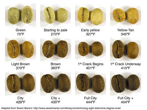 Roast Degree Quick Reference Chart - Imgur Mac Coffee, Coffee Education, Coffee Chart, Story Coffee, Juglans Nigra, Coffee Bean Art, Coffee Bean Roasters, Roasting Coffee, Coffee Brewing Methods