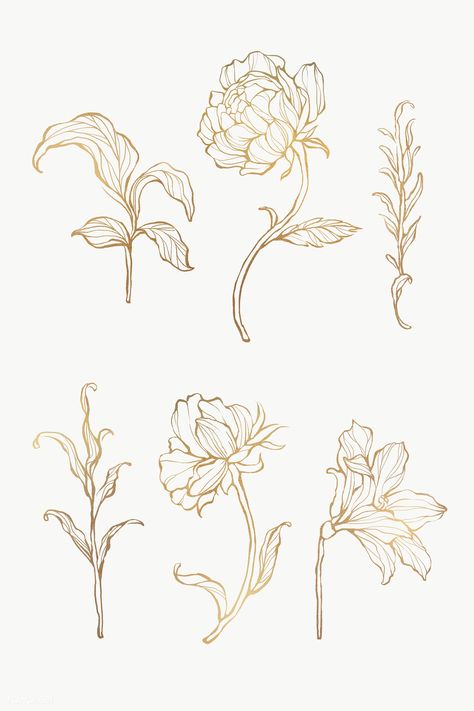 Gold Flower Drawing, Flower Drawing Vintage, Vintage Flower Drawing, Botanical Outline, Vintage Botanical Drawings, Botanic Flowers, Vintage Floral Illustration, Drawing Gold, Vintage Flower Art