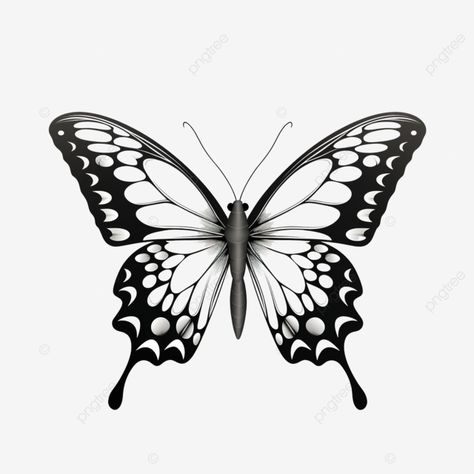 butterfly vector format in black and white ai generative abstract animal art png Butterfly Illustration Design, Butterfly Vector Illustration, Aesthetic Clipart, Black And White Clipart, Butterfly Vector, Image Of Fish, Black And White Butterfly, Butterfly Black And White, Butterfly Aesthetic