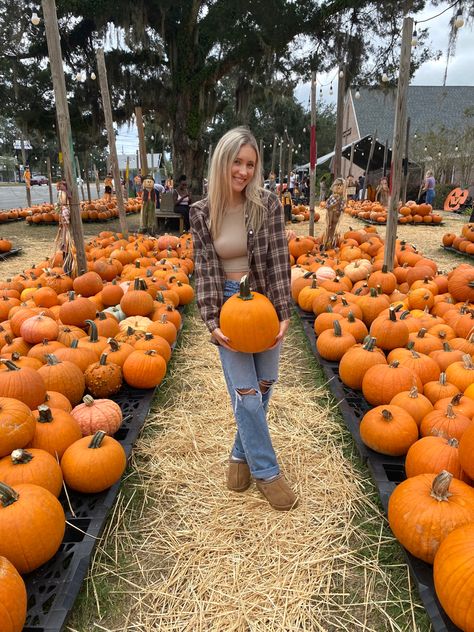 Aesthetic Flannel, Pumpkin Patch Pictures, Pumpkin Photos, Fall Inspo, Instagram Photo Inspiration, Fall Aesthetic, Girl Falling, Pumpkin Patch, Photo Inspiration