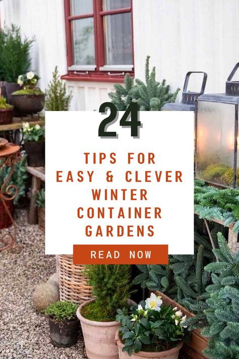 Elevate your outdoor space this winter with 24 easy, clever, and creative tips for planting and displaying winter container gardens. From festive colors to unique textures, these tips will inspire you to create beautiful outdoor displays that will thrive in the colder months. Winter Container Ideas, Diy Winter Planter Front Porches, Outdoor Winter Planters, Winter Containers Planters, Winter Plants For Pots Outdoors, Winter Pots Outdoor Planters, Winter Outdoor Planter Ideas, Winter Potted Plants, Winter Garden Ideas