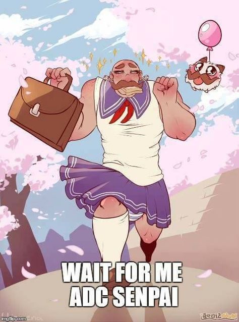 Braum! Kawaii Smile, Liga Legend, League Of Legends Comic, League Memes, League Of Legends Memes, League Of Legends Characters, Splash Art, Lol League Of Legends, Humor Memes