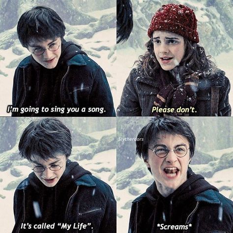 Harry Potter Funny Pictures, Citate Harry Potter, Glume Harry Potter, Pascal Campion, Funny Harry Potter Jokes, Harry Potter Memes Hilarious, Harry Potter Feels, Harry Potter Puns, Harry Potter Images