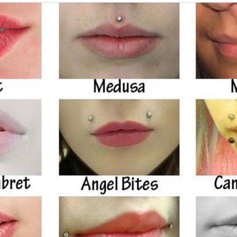 OUFER BODY JEWELRY on Instagram: "What would you get for your next piercing? 👄👄 😘😘Lern more @ouferbodyjewelry #ouferbodyjewelry #bodypiercing #lippiercing #piercinglover #piercedgirl #medusa #verticallabret #piercingknowledge" The Ashley Piercing, Upper Lip Piercing Medusa, Ashley Lip Piercing Aesthetic, Tiny Medusa Piercing, Teardrop Piercing Face, Monroe Piercing Small, Medusa Piercing Small Lips, Medusa And Labret Piercing, Medusa And Ashley Piercing