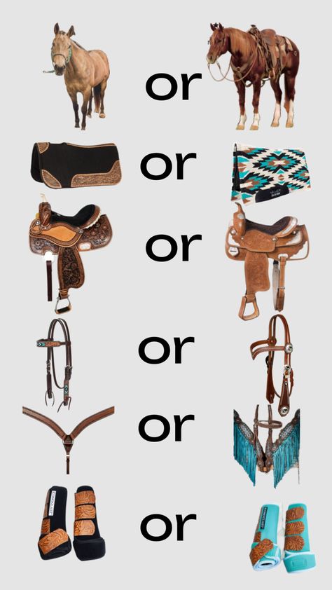 remix this or that #western #country #horse #rodeo #barrel racing Western Riding Tack, Rodeo Barrel Racing, Barrel Racing Tack Rodeo, Western Horse Riding, Horse Rodeo, Horse Facts, Western Saddle Pads, Barrel Racing Tack, Barrel Racing Horses