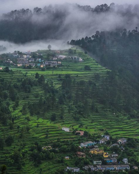 Science And Nature Books, Nature Bookmarks, Village Photography, Green Photo, Hill Station, Tibetan Buddhism, Scenic Beauty, The Nature, India Travel