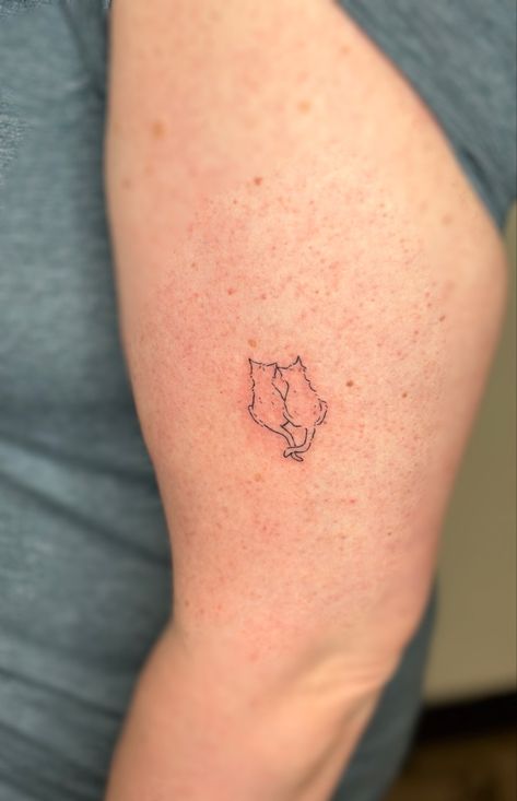 Cat Tattoo Two Cats, Cat Looking Up Tattoo, Small Dainty Cat Tattoos, Tattoos For My Cat, Cat Micro Tattoo, Cat Themed Tattoo, Cute Simple Cat Tattoos, Cat Curled Up Tattoo, Pretty Fine Line Tattoo