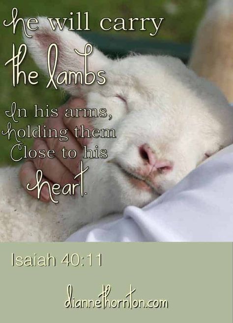 The Good Shepherd, The Lamb, Prayer Scriptures, Bible Verses Quotes Inspirational, Favorite Bible Verses, Faith Inspiration, Spiritual Inspiration, Scripture Quotes, Bible Inspiration