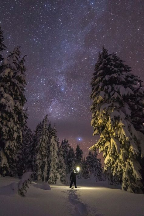 Snowy Woods Night, Winter Woods Wallpaper, Cabin Activities, Snow At Night, Couple Photography Winter, Aesthetic Lover, Axis Mundi, Alaska Pictures, Winter Hygge