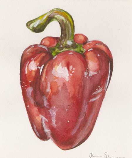 Red Bell Pepper, by Alicia Severson. Original watercolor painting. Vegetable Painting, Watercolor Food, Watercolor Fruit, Food Painting, Watercolor Paintings Easy, Fruit Painting, 수채화 그림, Watercolor Art Lessons, Red Bell Pepper