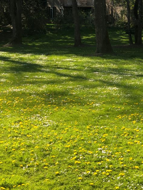 Green Yard Aesthetic, Cottage Core Background, Grass Aesthetic, Forest Path, Nature Aesthetic, Flowers Nature, Pretty Places, Green Aesthetic, Places Around The World