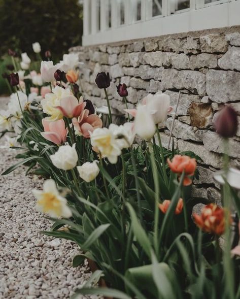 Garden Tulips, Natural Landscaping, Garden Vases, Growing Gardens, Royal Garden, Porch Garden, Magical Garden, In Front Of House, Cottage House