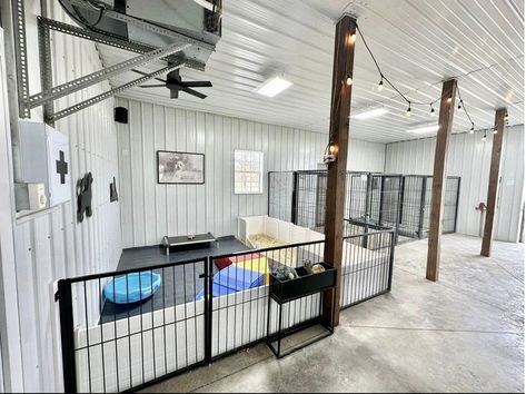 Dog Areas In Garage, Dog Breeding Room Ideas, Animal Rescue Building Ideas, Dog Basement Ideas, Garage Ideas For Dogs, Puppy Garage Set Up, In Home Boarding Kennel, Dog Set Up In Garage, I’m Home Dog Boarding