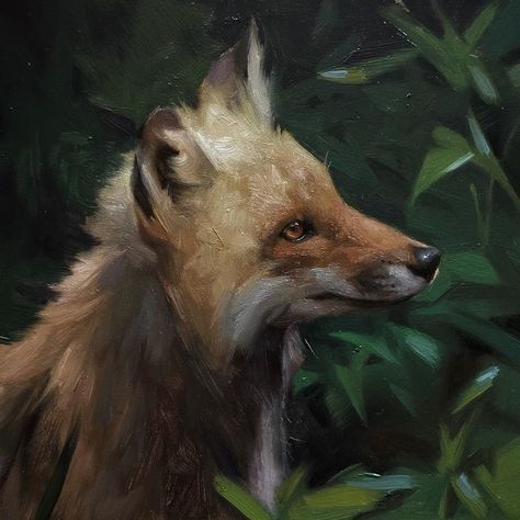 Jennifer Gennari, Fox Pictures, Wildlife Paintings, Fox Art, Animals Artwork, Arte Animal, Arte Fantasy, Animal Heads, Ethereal Art