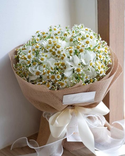 Halloween Baby Shower Theme, Daisy Bouquet, Baby Breath, Feather Wedding, Baby S Breath, Beautiful Bouquet Of Flowers, Beautiful Bouquet, Flower Photos, Baby Halloween