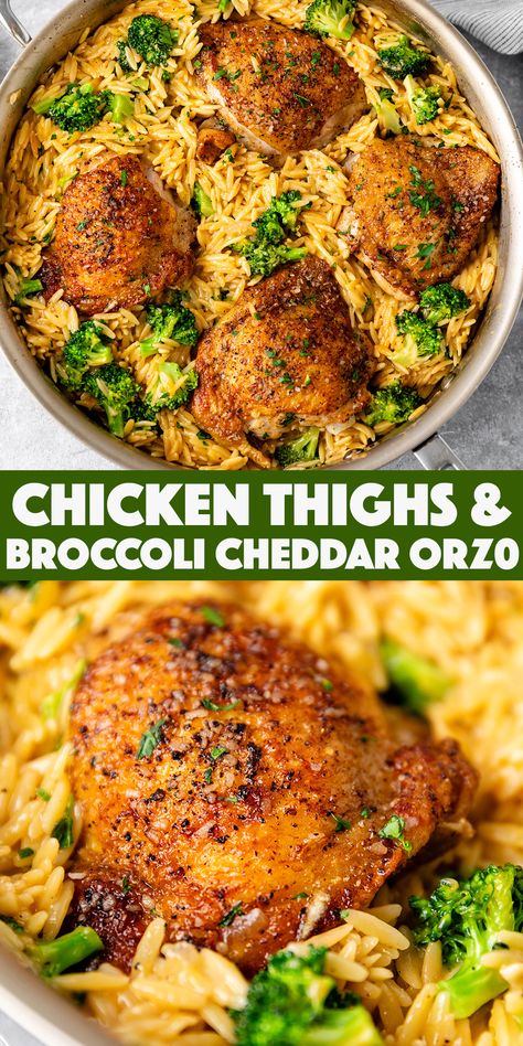 Skillet Chicken Thighs with Broccoli Cheddar Orzo - juicy golden brown chicken thighs with cheesy orzo and broccoli all cooked together in one pan! Essen, Broccoli Cheddar Orzo, Cheddar Orzo, Skillet Chicken Thighs, Chicken Casserole Recipes, Health Dinner, Broccoli Cheddar, Health Dinner Recipes, Skillet Chicken