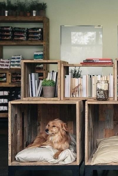 Space-saving ideas for pets beds can help maximize your small spaces and create comfortable nooks for your pets Dog Nook, Katt Grejer, Diy Pet Bed, Hospital Pictures, Murphy Bed Plans, Dog Rooms, Animal Hospital, Diy Tutorials, Dog Sitting