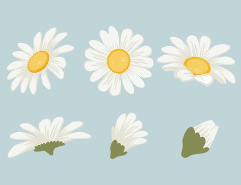 Daisy Vector Illustration, Daisy Flower Illustration Art, Cute Flowers Illustration, Flat Flower Illustration, Daisy Illustration Simple, Cute Daisy Drawing, Daisy Drawings, Daisies Drawing, Cute Flower Illustration