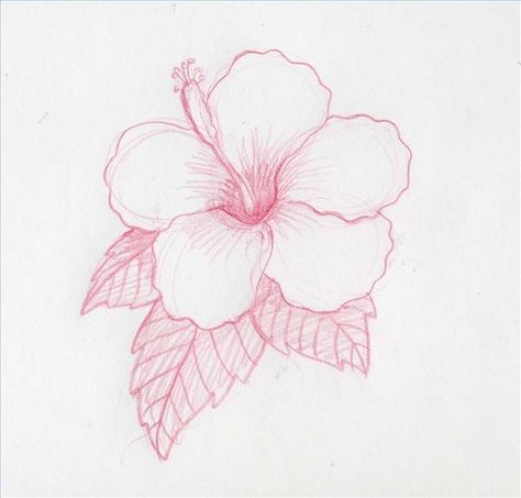 How to Draw Hawaiian Flowers | How to Draw Hawaiian Flowers Step by Step | eHow Draw Hawaiian Flowers, Hawaiian Flower Drawing, Flowers Step By Step, Beautiful Pencil Drawings, Kristina Webb, Hawaii Flowers, Flower Step By Step, Drawing Hands, Drawing Faces