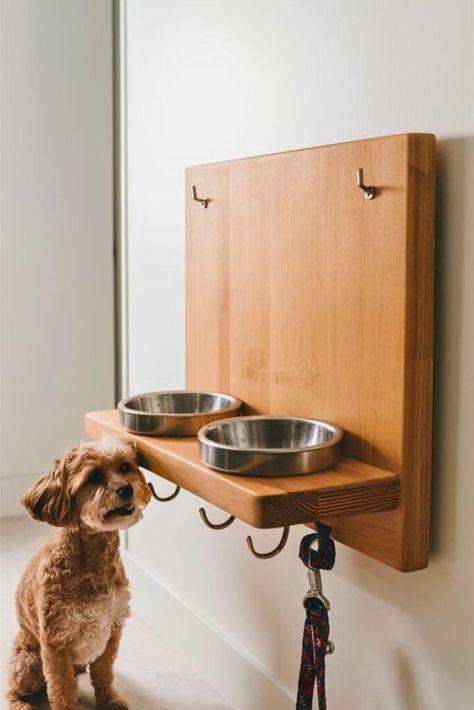 Top 20 Dog Feeding Station DIY [Within Budget] Dog Eating Station, Dog Feeding Station Diy, Diy Dog Feeder, Dog Bowl Stand Diy, Dog Feeding Station, Dog Bowl Stand, Hamster Cage, Feeding Station, Dog Feeder