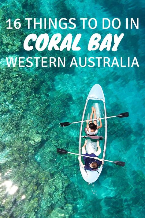 Top 16 things to do in Coral Bay Western Australia Ningaloo Reef, Western Australia Road Trip, Australia Road Trip, Campervan Hire, Bay Photo, Reef Shark, Coral Bay, Kayak Adventures, Road Trip Fun