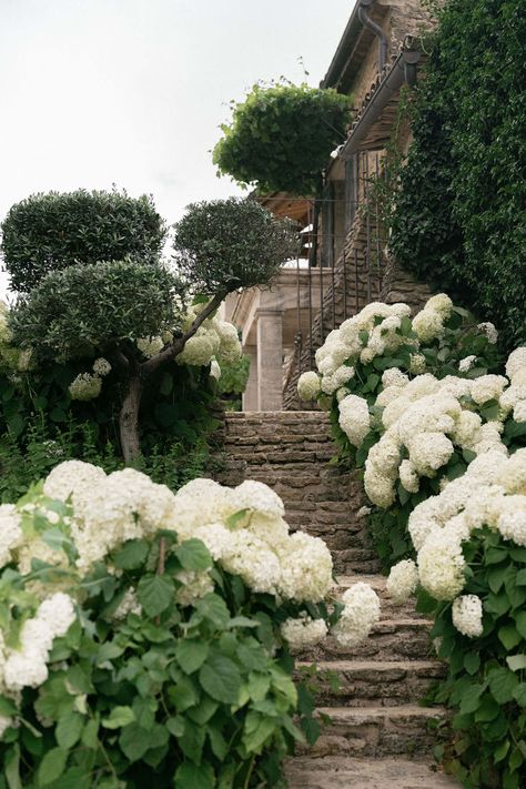 Destination wedding in the Luberon in the South of France. #FranceWedding #ChateauWedding #WeddingPhotography Provence Wedding, Garden Theme Wedding, Chateau Wedding, France Wedding, Provence France, The South Of France, South Of France, Wedding Guest Outfit, Wedding Bells