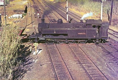 Steam Trains Photography, Steam Trains Uk, Train Crash, Disused Stations, Newcastle Nsw, Steam Engine Trains, I Was Here, Freight Train, Steam Railway