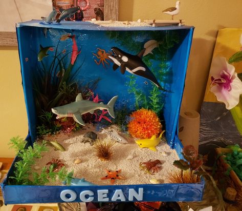 Kindergarten habitat project Ocean Diorama, Ocean Art Projects, Biomes Project, Diorama Kids, Ecosystems Projects, Habitats Projects, Ocean Projects, Ocean Ecosystem, Turtle Habitat