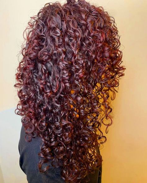 Wine Red Curly Hair Dyed, Black Hair With Red Shine, Deep Red Curly Hair Natural Curls, Deep Red Hair Color Curly, Red Hair Inspo Curly, Red Curly Highlights, Red On Curly Hair, Curly Dyed Hair Highlights, Dark Wine Red Curly Hair