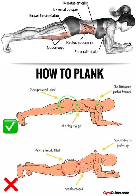 How To Plank Correctly, Plank Benefits, How To Plank, Core Conditioning, Plank Exercise, Fitness Studio Training, Plank Variations, Core Strengthening, Gym Antrenmanları