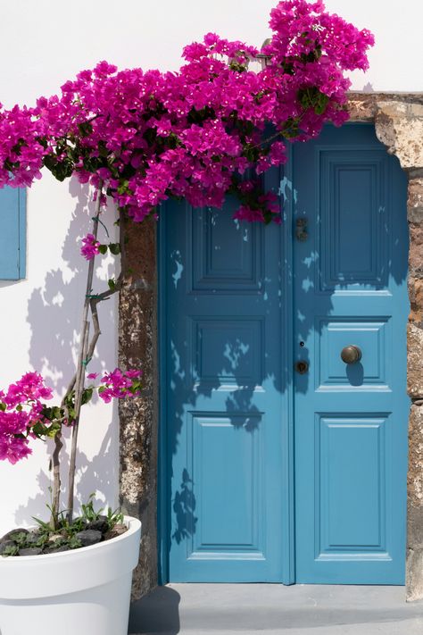 https://unsplash.com/photos/purple-flowers-on-blue-wooden-door-pnsM9tderew?utm_source=unsplash&utm_campaign=unsplash-ios&utm_medium=referral&utm_content=view-photo-on-unsplash Greek Decor, Fairytale House, Islamic Wallpaper Hd, Flower Bedroom, Art Photography Portrait, Flower Window, Fine Art Landscape Photography, Nothing But Flowers, Beach House Design