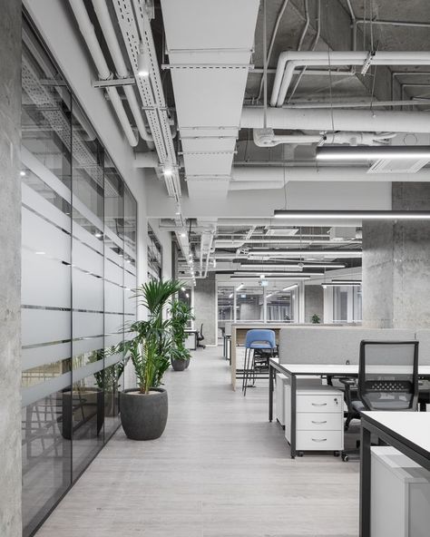 Office Interior Design Grey And White, White Office Building, White Modern Office, Architect Office Interior, Loft Ceiling, Office Ceiling, Industrial Office Design, Grey Interior Design, Modern Office Space