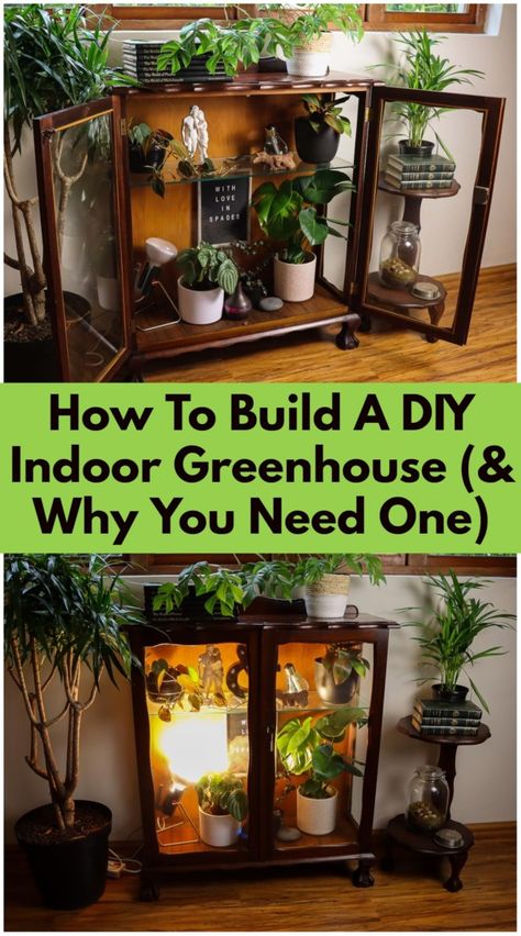 How To Build A DIY Indoor Greenhouse (& Why You Need One) In Home Greenhouse Ideas, Wall Greenhouse Diy, Plant Growing Shelves, Bookcase Greenhouse, Mini Indoor Greenhouse Diy, Diy Garage Greenhouse, How To Build A Plant Stand, Indoor Greenhouse Ideas Diy, Indoor Herb Garden Diy Mini Greenhouse