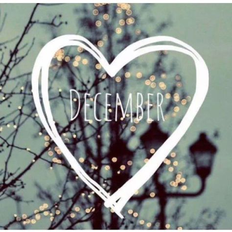 December Love Quotes, Hello December, A Background, The Words, Frame, White