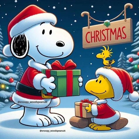 Christmas Snoopy, Snoopy Cartoon, Snoopy Funny, Merry Christmas Pictures, Snoopy Images, Snoopy Wallpaper, Snoopy Quotes, Snoopy Pictures, Peanuts Christmas