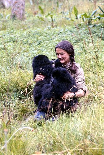 Dian Fossey 1932-1985 | Nyirmachabelli-"The woman who lives … | Flickr Gorillas In The Mist, Dian Fossey, Jane Goodall, Mountain Gorilla, Great Ape, Charles Bukowski, The Mist, Bukowski, Zoology