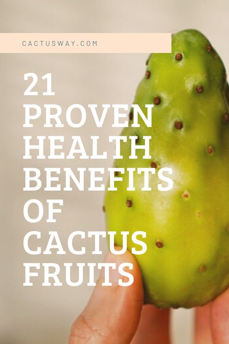 Prickly Pear Benefits, Pear Health Benefits, Benefits Of Cactus, Cactus Benefits, Cactus Facts, Prickly Pear Recipes, Cactus Pears, Cactus Fruit, Types Of Cactus