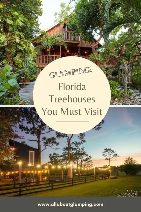 In this article, we will go over not only some of our favorite Florida Treehouses, but a few of our favorite amazing outdoor sites you can discover on your weekend Florida glamping getaway or your week-long Florida treehouse vacation. Loxahatchee Florida, Treehouse Vacations, Stilt Home, Treehouse Rentals, Florida Camping, Florida State Parks, Everglades Florida, Jupiter Florida, Eco Lodge