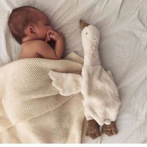 MIRLE AND TESS 🌙 on Instagram: “G O O D N I G H T 🌗 We just love this capture of @lou_and_co her little one with the amazing Senger Naturwelt swan. These cute swans and…” Coral Pantone, Big Plush, Foto Baby, Future Baby, Baby Fever, Baby Pictures, Baby Love, Baby Photos