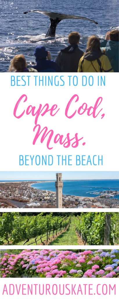 Cape Cod To Do, Cape Cod Fall Vacation, Cape Cod Day Trip, Cape Cod October, Cape Cod Massachusetts Things To Do, West Yarmouth Cape Cod, Cape Cod Things To Do Summer, Cape Cod Trip, Things To Do In Cape Cod