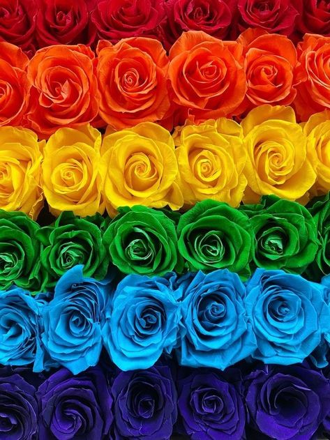 Rainbow Pride Aesthetic, Pride Month Wallpapers, Pride Month 2024, Pride Aesthetic Wallpaper, Pride Month Aesthetic, Pride Aesthetic, Parade Outfit, Colourful Food, Heart Roses