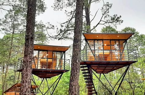 Elevated Houses, Treehouse Airbnb, Modern Tree House, Beautiful Tree Houses, Cottage Tiny House, Hut House, Tropical House Design, Tree House Plans, Cool Tree Houses