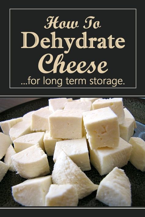 Dehydrate Cheese, Dehydrated Cheese, Dehydrator Recipes Fruit, Dehydrate Potatoes, Cheese Recipes Homemade, Cheese Making Recipes, Homemade Spice Mix, Emergency Food Storage, Dehydrated Fruit