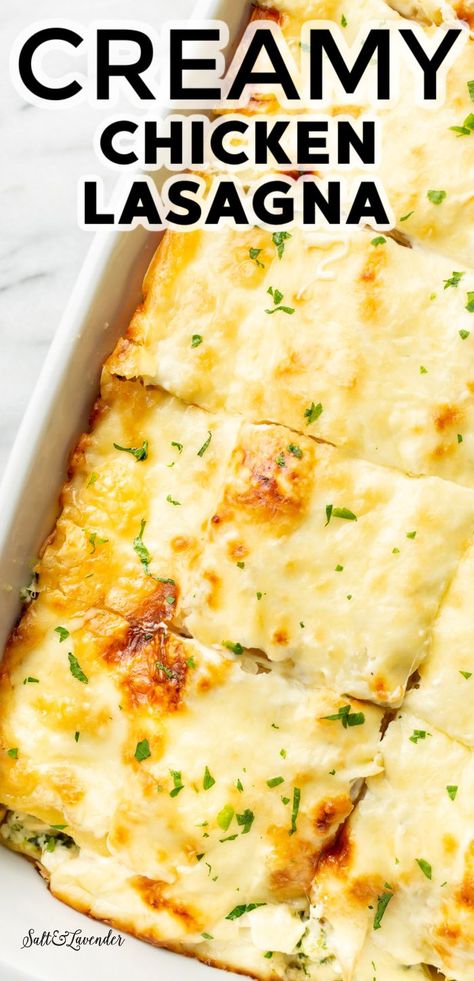 Creamy Chicken Lasagna, Chicken Casserole Recipes Healthy, Chicken Lasagna Recipe, Lasagne Recipes, Chicken Skillet Recipes, Chicken Lasagna, Chicken Entrees, Rotisserie Chicken Recipes, Best Chicken