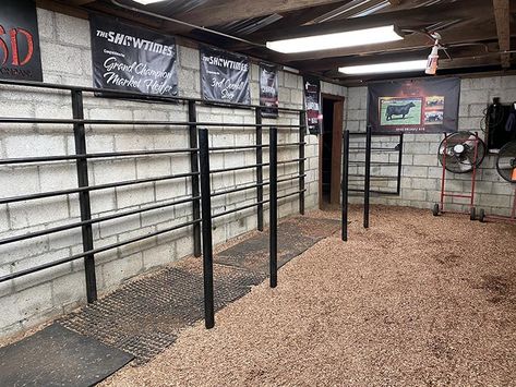 Cattle Barn Designs, Barn Man Cave, Show Cattle Barn, Cattle Facility, Equine Barns, Livestock Barn, Barn Remodel, Barn Layout, Show Steers