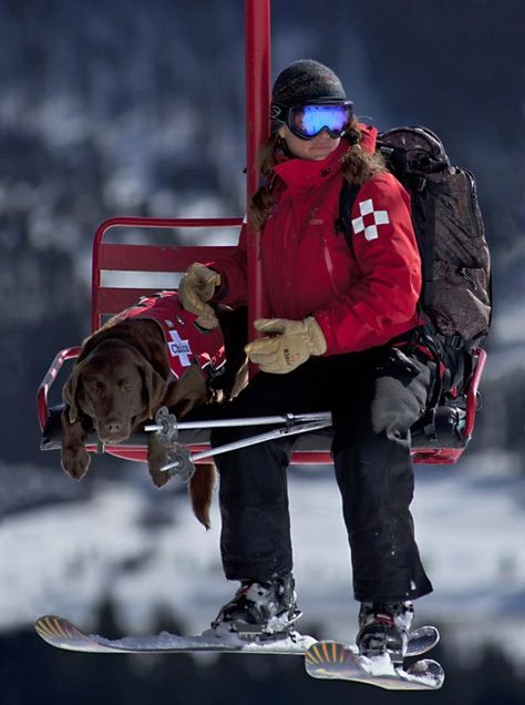 Bridger Bowl Ski Patroller Ellie Thompson and her avalanche dog Chica Dogs With Jobs, Mountain Rescue, Old Skis, Ski Patrol, Ski Culture, Ski Bums, Powder Skiing, Ski Art, Ski Mountain