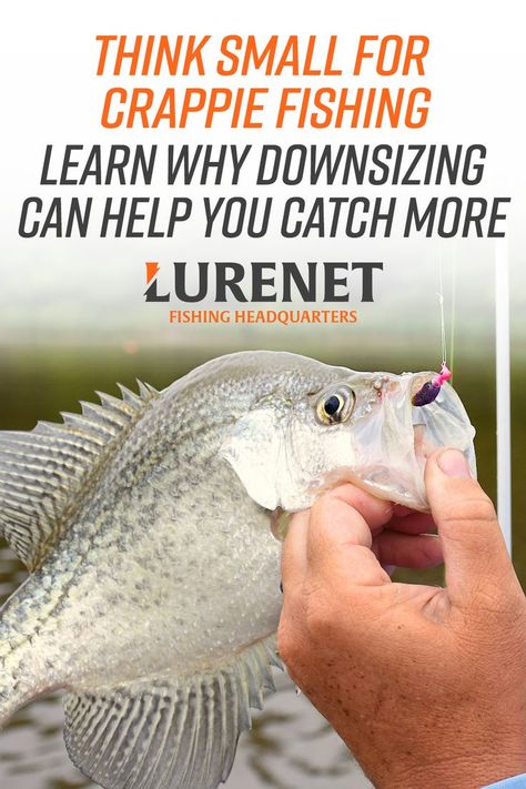 Crappie Fishing Tips, Trout Fishing Tips, Fishing For Beginners, Bass Fishing Tips, Crappie Fishing, Fishing Techniques, Fish Finder, Lake Fishing, Freshwater Fishing