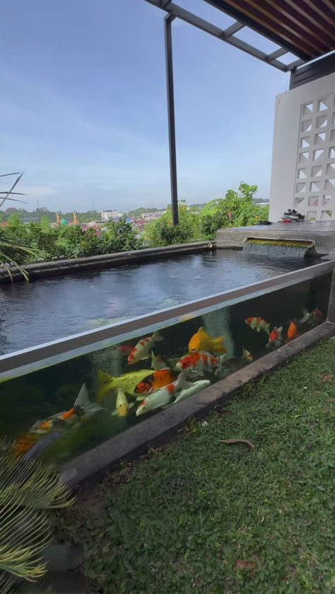 Koi Fish Tank Indoor, Pond Indoor, Koi Fish Tank, Fish Ponds Backyard, Koi Pond Design, Koi Fishes, Kolam Koi, Fish Pond Gardens, Aquascape Design