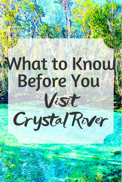 Crystal River Florida Things To Do, Crystal Lake Florida, Crystal Springs Florida, Rainbow River Florida, Florida Kayaking, Florida Vacation Spots, Crystal River Florida, Solo Trips, Florida Travel Destinations